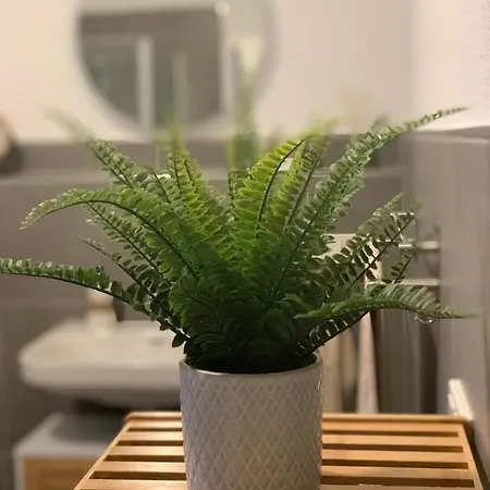 Daire Schoene Aussicht In Simmertal